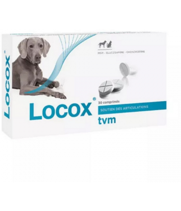 Locox Comprimés x 30
