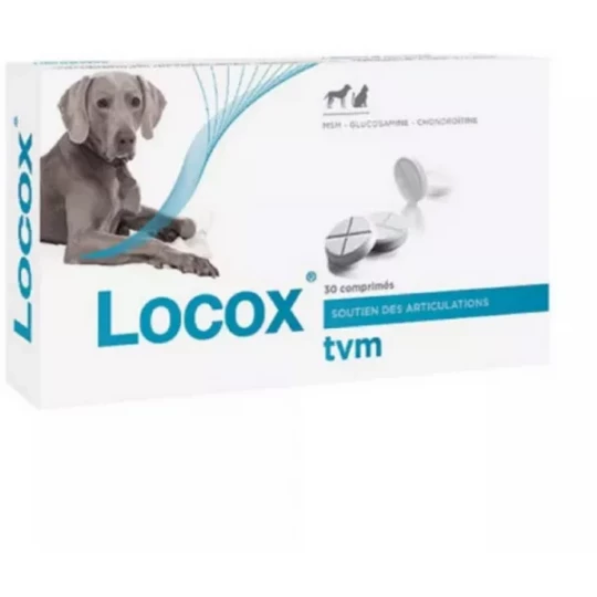 Locox Comprimés x 30