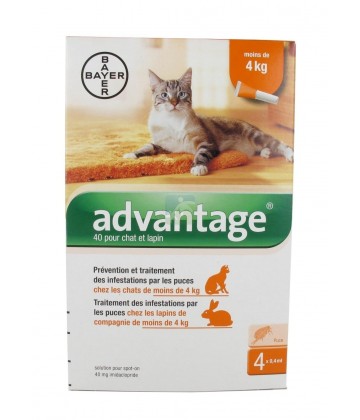 Advantage Chat et Lapin 1 à 4 kg x 4