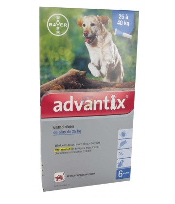 Advantix Grand Chien 25-40 kilos x 6