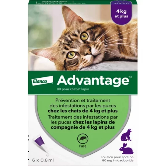 Advantage Chat et Lapin plus de 4 kg x 6