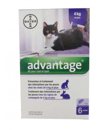 Advantage Chat et Lapin plus de 4 kg x 6