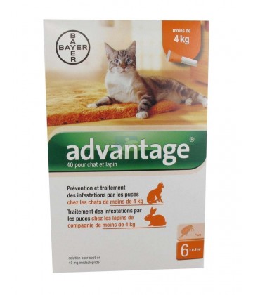 Advantage Chat et Lapin 1 à 4 kg x 6