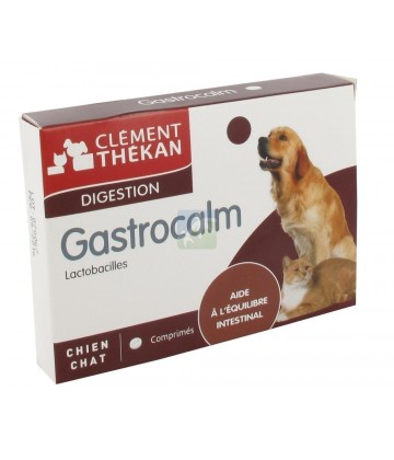 Clément Thékan Gastrocalm Lactobacilles