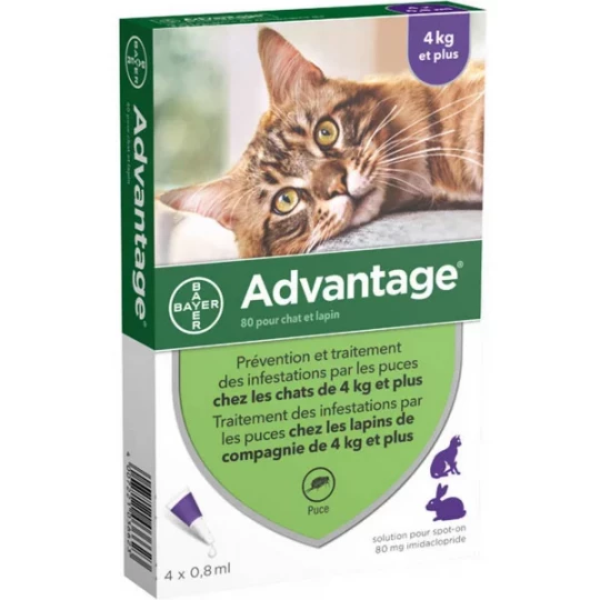 Advantage Chat 4 kg et plus x 4
