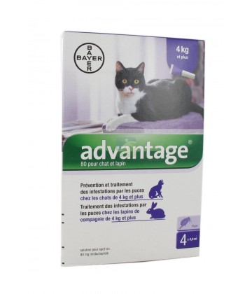 Advantage Chat 4 kg et plus x 4