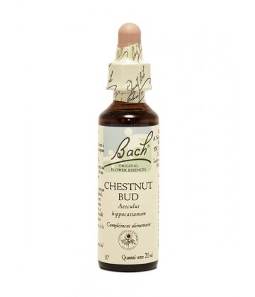 Fleurs de Bach Chestnut Bud Gouttes 20 ml