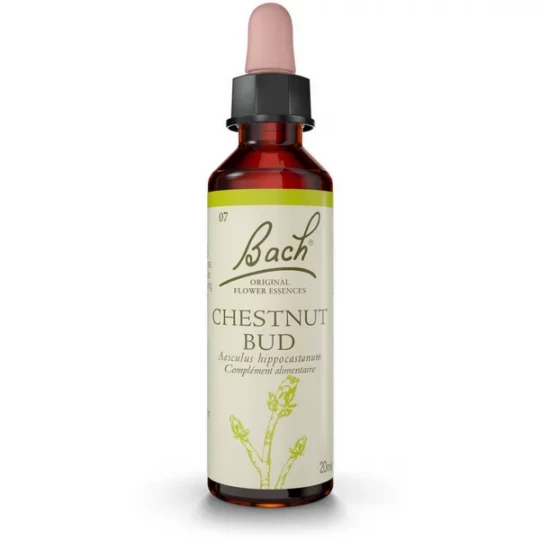 Fleurs de Bach Chestnut Bud Gouttes 20 ml