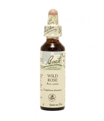 Fleurs de Bach Wild Rose 20 ml