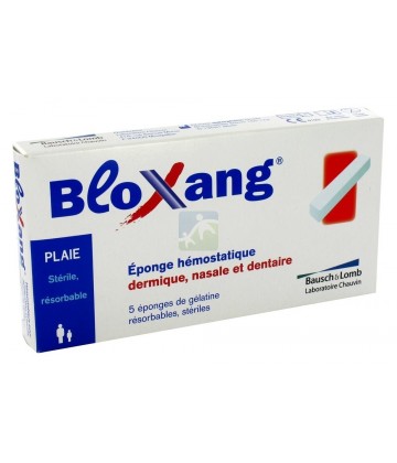 BloXang Eponges