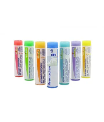 Boiron Mesencephale Dose