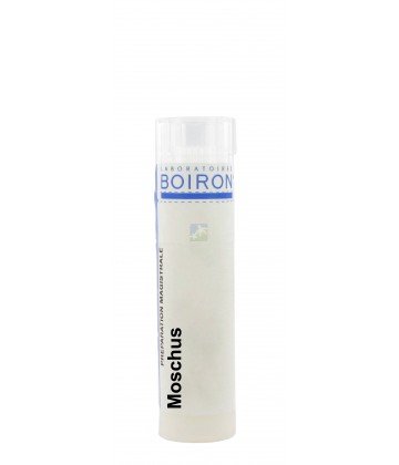 Boiron Moschus Dose K