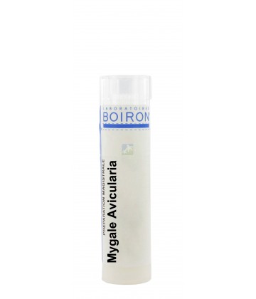 Boiron Mygale Avicularia Dose K