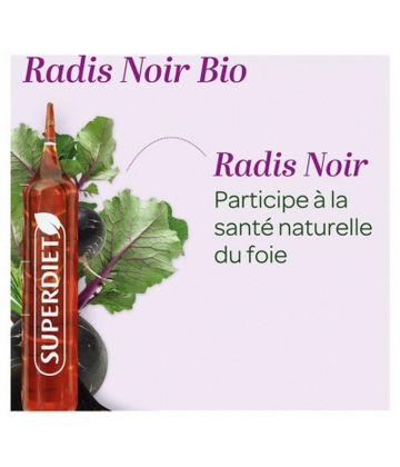 Superdiet Radis Noir Ampoules x 20