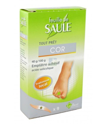 Feuille de saule cor 40 g/100 g x 9