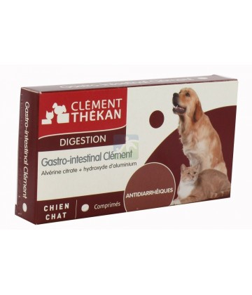 Clément Thékan Digestion Gastro-intestinal x 24
