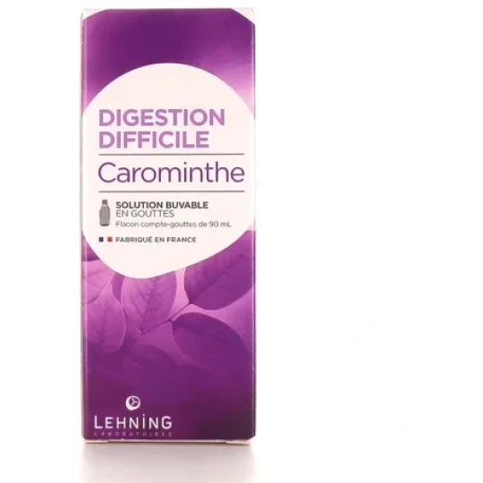 Lehning Carominthe Gouttes 90 ml