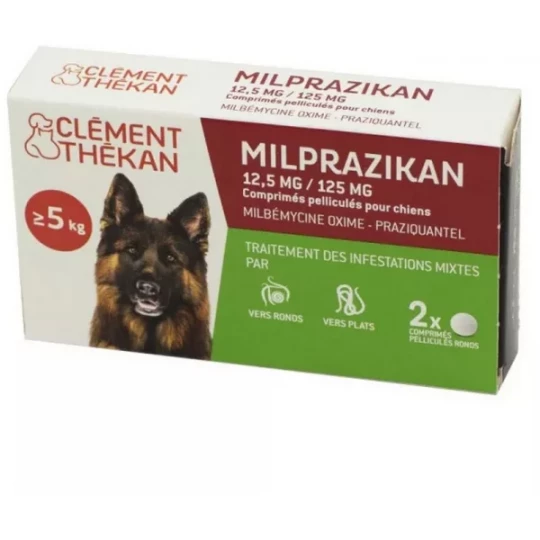 Clément Thékan Milprazikan Chien x 2