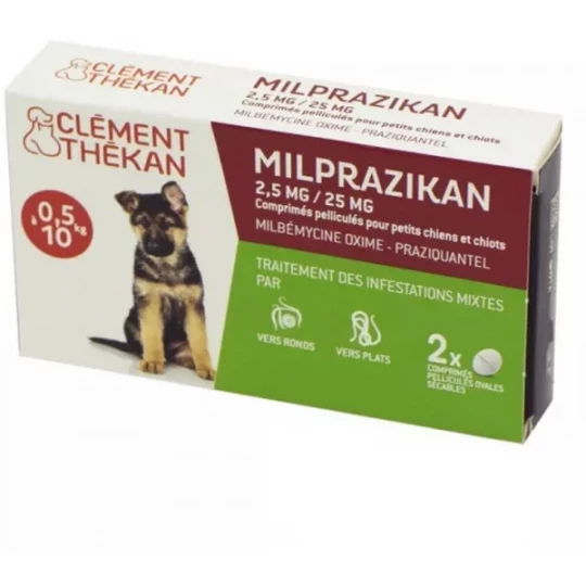 Clément Thékan Milprazikan Chiot x 2
