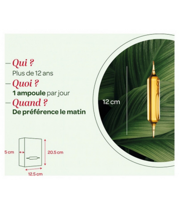 Superdiet Quatuor Bio Harpagophytum Articulations x 20