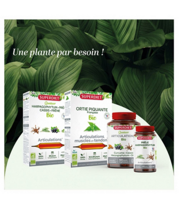 Superdiet Quatuor Bio Harpagophytum Articulations x 20