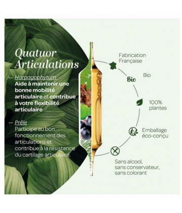 Superdiet Quatuor Bio Harpagophytum Articulations x 20