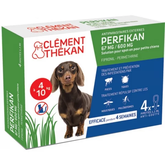 Clément Thékan Perfikan Petits Chiens x 4