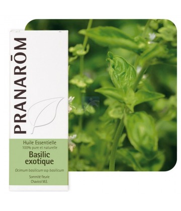 Pranarôm Huile Essentielle Basilic Exotique 10 ml