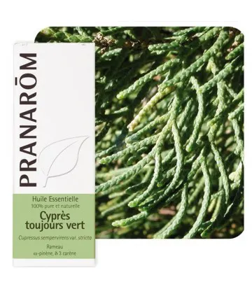 Pranarôm Huile Essentielle Cyprès 10 ml