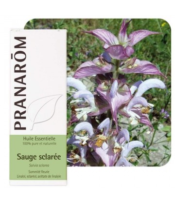 Pranarôm Huile Essentielle Sauge Sclarée 10 ml