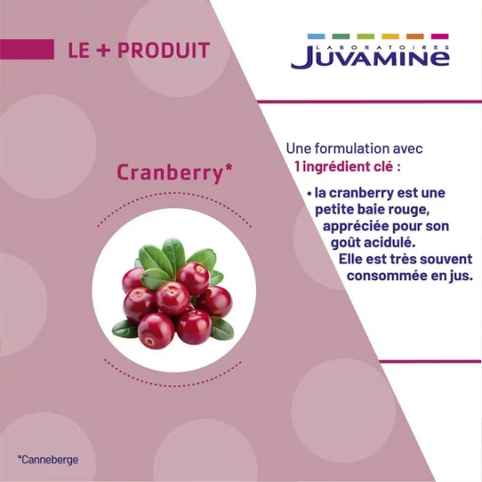 Juvamine Equilibre Cranberry x 60 - image 3