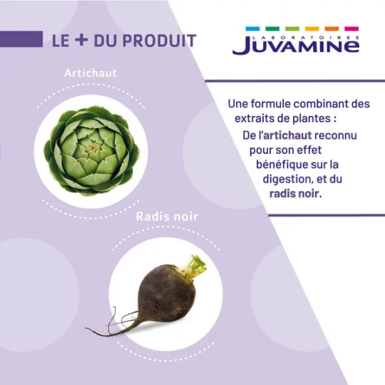 Juvamine Phyto Artichaut Radis Noir x 50 - image 3