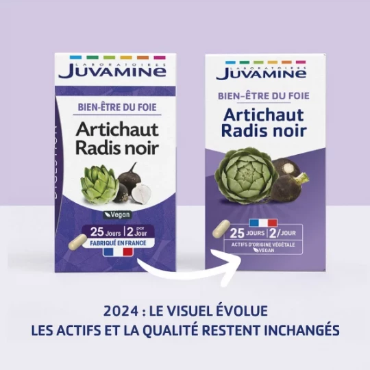 Juvamine Phyto Artichaut Radis Noir x 50 - image 4