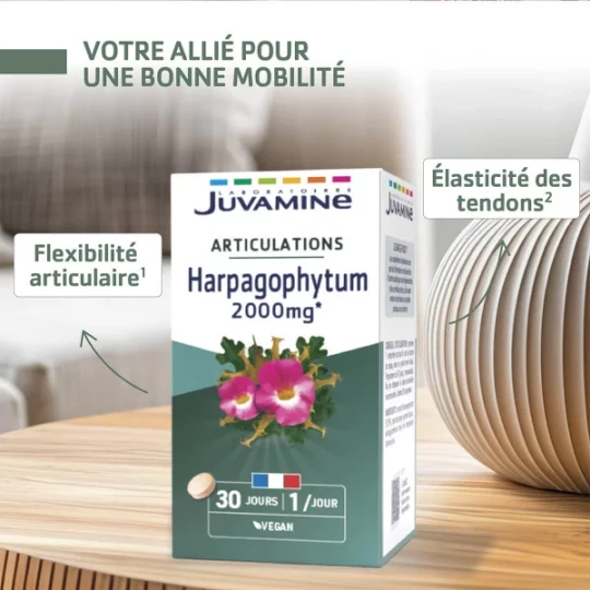 Juvamine Phyto Harpagophytum x 30 - image 3