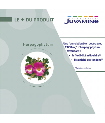 Juvamine Phyto Harpagophytum x 30