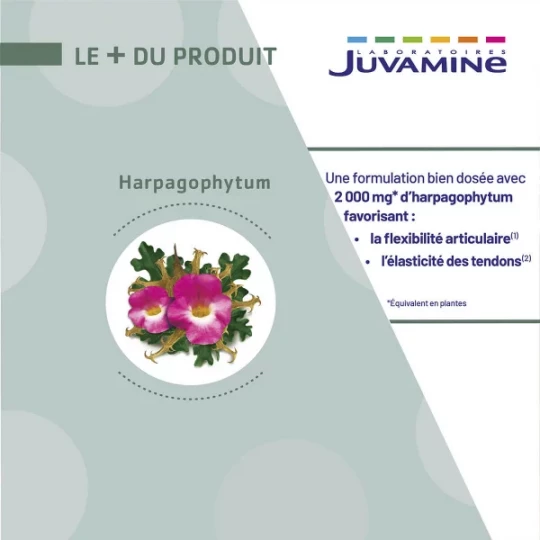 Juvamine Phyto Harpagophytum x 30 - image 4