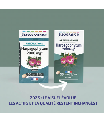 Juvamine Phyto Harpagophytum x 30