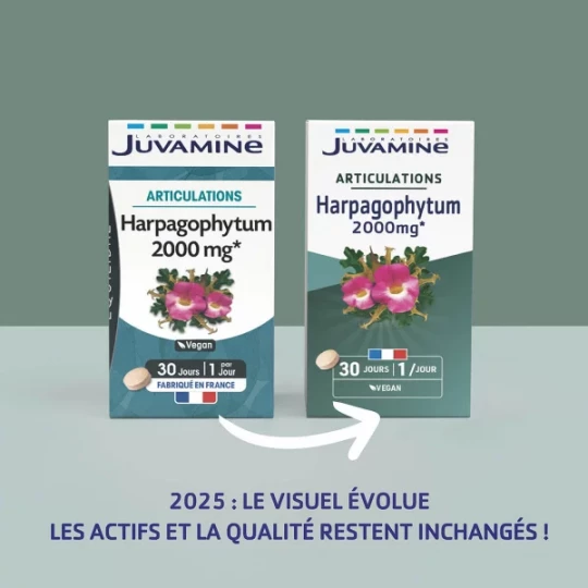 Juvamine Phyto Harpagophytum x 30 - image 5