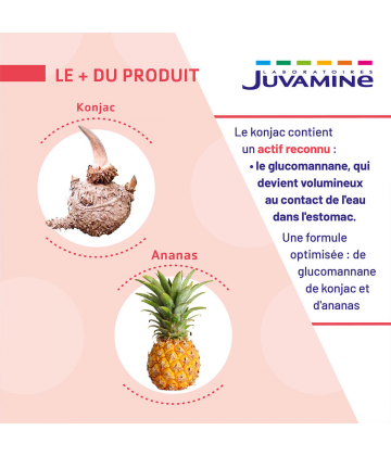 Juvamine Phyto Konjac Ananas x 42