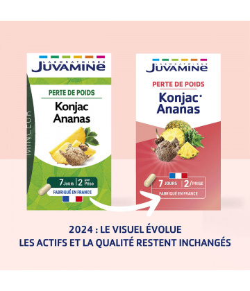 Juvamine Phyto Konjac Ananas x 42