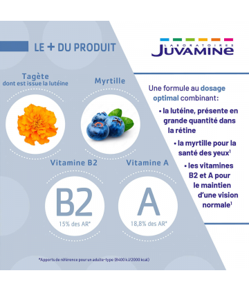 Juvamine Phyto Lutéine Myrtille x 40