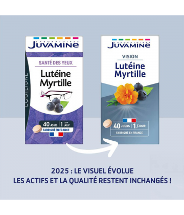 Juvamine Phyto Lutéine Myrtille x 40