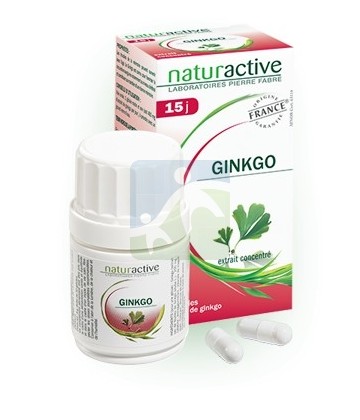 Naturactive Ginkgo x 30