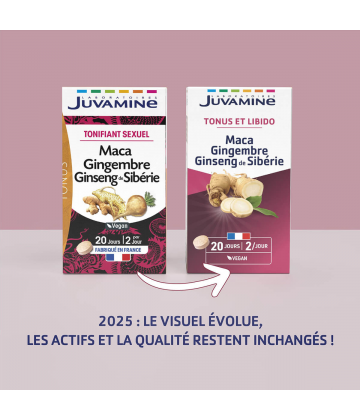 Juvamine Phyto Maca Ginseng Gingembre x 40