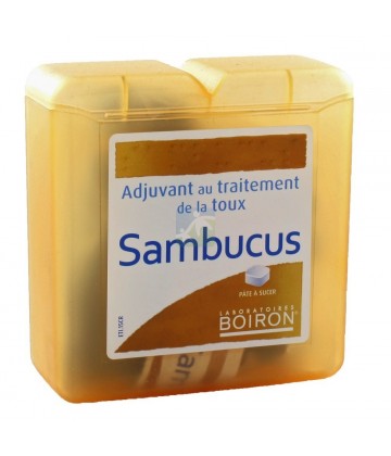 Boiron Pâte Pectorale Réglisse Sambucus 70 g