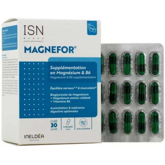 Ineldea Magnefor