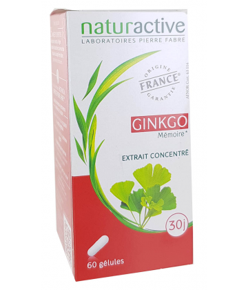 Naturactive Ginkgo x 60