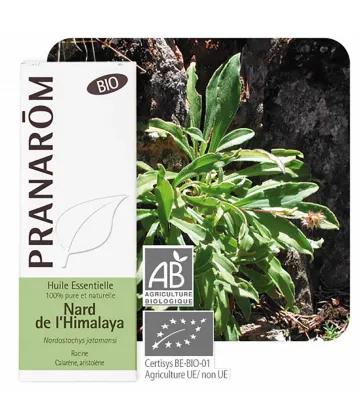 Pranarôm Huile Essentielle Nard de l'Himalaya Bio 5 ml