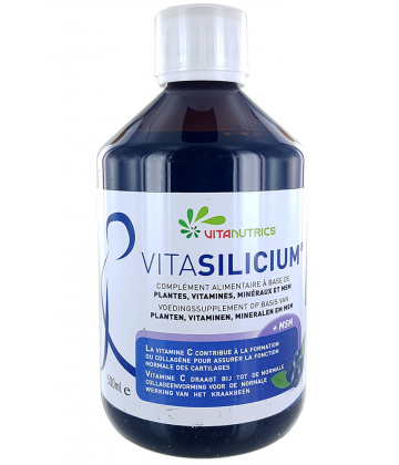 Vitanutrics VitaSilicium 500 ml