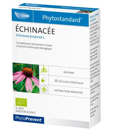 PiLeJe Phytostandard Échinacée  x 20